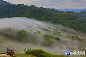 阿里山添新景點　公興村龍美登山賞景觀雲瀑　