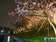 內湖樂活公園夜櫻季　LED投射下美不勝收