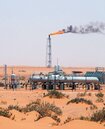 OPEC擬推動市場合作「制度化」　籌設超級產油國組織