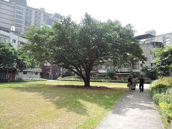 建物密集的捷運府中站旁、東門街2巷底,隱藏著一個521坪的綠地。(圖/新北市城鄉局)