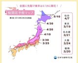 日本賞櫻預測：東京3月中提前開花、大阪4月初滿開