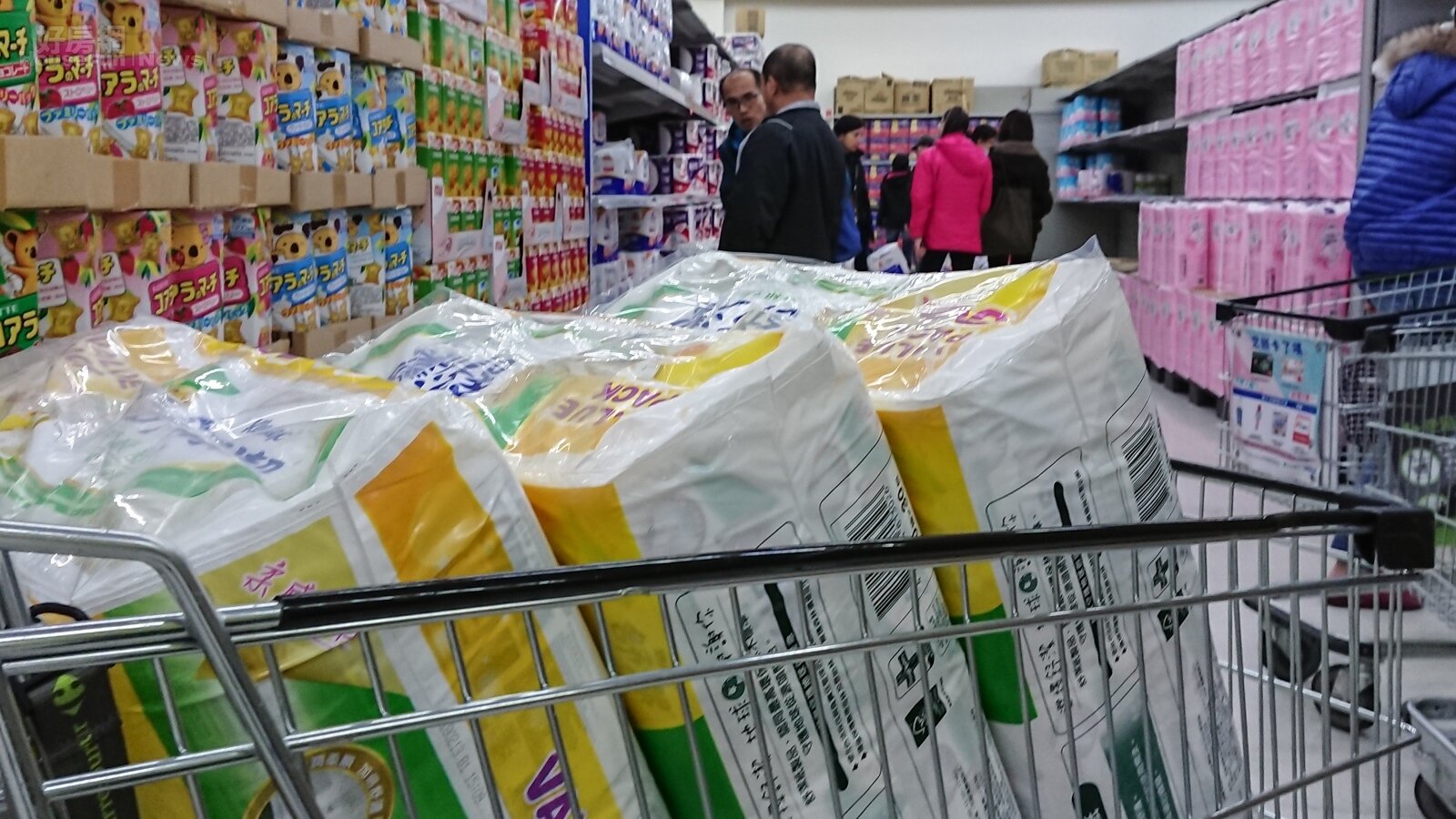 衛生紙驚傳漲聲,民眾紛紛前往大賣場搶購。(好房網News記者張聖奕/攝影)