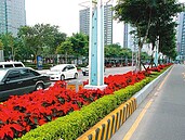 推動林蔭大道　新北苗圃復育