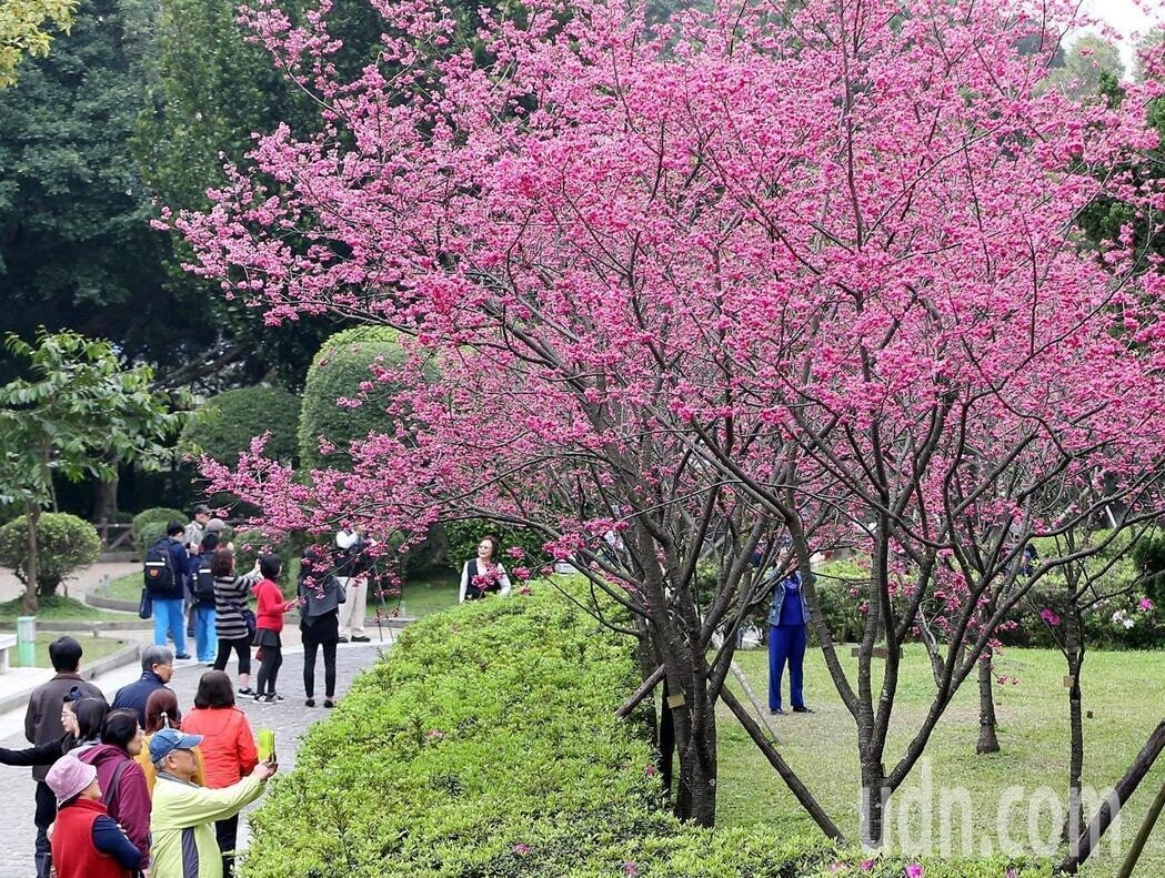 今天開始連續4天到周日，將會是回溫轉晴，很像春天的較穩定天氣型態。記者侯永全／攝影