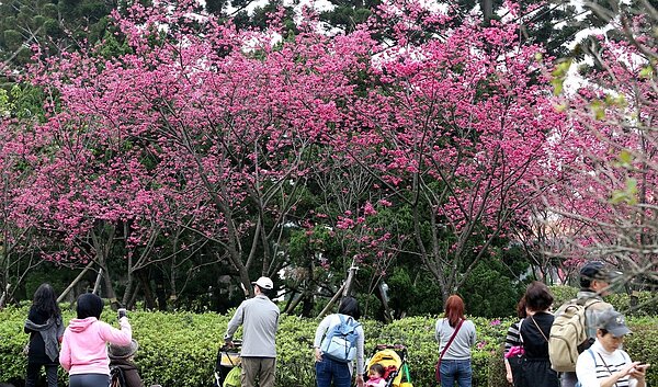 今天延續昨天的穩定天氣。聯合報系資料照／記者侯永全攝影 