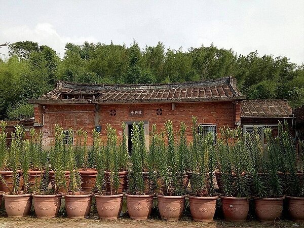 前總統李登輝故居三芝「源興居」,近1、2年屋頂坍塌約1/3,但受限產權屬私有且有200多人持分,公部門難以介入協調修繕。 圖/北海岸及觀音山國家風景區管理處提供