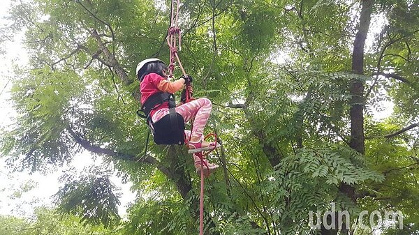 雪霸國家公園管理處26周年慶安排系列環境教育活動,許多青少年、兒童嘗試體驗攀樹,開心地拉繩上升到高處。記者胡蓬生/攝影