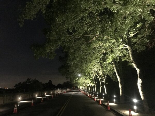 桃市府觀旅局今年3月起著手改造南苑生態公園，包含自坪林收費站進入南苑的路廊增加光景，也能提供夜間照明。圖／市府觀旅局提供
