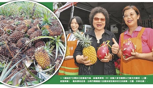 總統府7日開放日設農產市集,祕書長陳菊(右圖中)鼓勵大家多購買以行動支持農民(右圖,趙雙傑攝)。鳳梨價格低落,台南市關廟區大批鳳梨被放棄採收任其腐爛(左圖,洪榮志攝)。