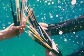「海洋塑膠垃圾比樹多」　澳洲號召全民探垃圾大數據