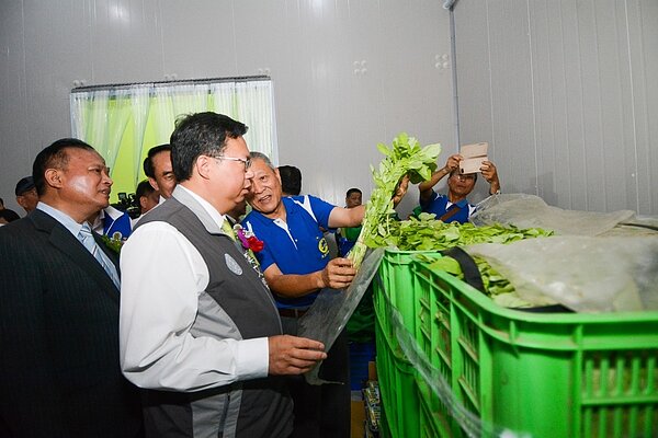 桃園市蔬菜儲藏設施工程。圖/市府提供