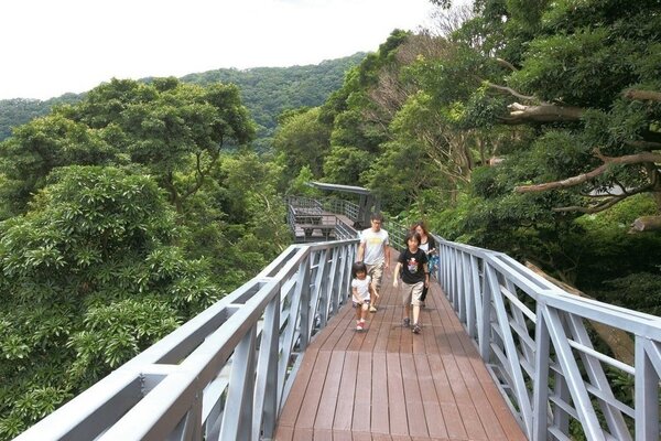 林梢步道則位於觀音山遊客中心下方生態園區，全長約800公尺的挑高木棧步道。圖／新北民政局提供