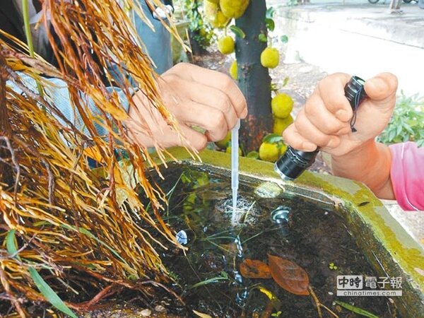 台南近期頻頻下雨，盆栽成為孳生孑孓溫床，圖為登革熱防治人員進行監測。（台南市登革熱防治中心提供）