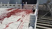 慈湖潑漆今開庭　獨派青年再潑中正紀念堂　警逮兩人