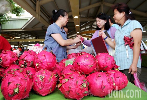 宜蘭農友林庭財義賣1500斤火龍果賑助日本豪雨受災民眾。記者徐兆玄／攝影 