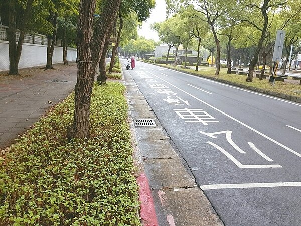 北市「台北法院站」公車停靠區旁人行道有一半都是花圃，易發生乘客踩花圃上下車情況。 記者翁浩然／攝影