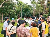 正隆都更案移樹　必須先做動線模擬