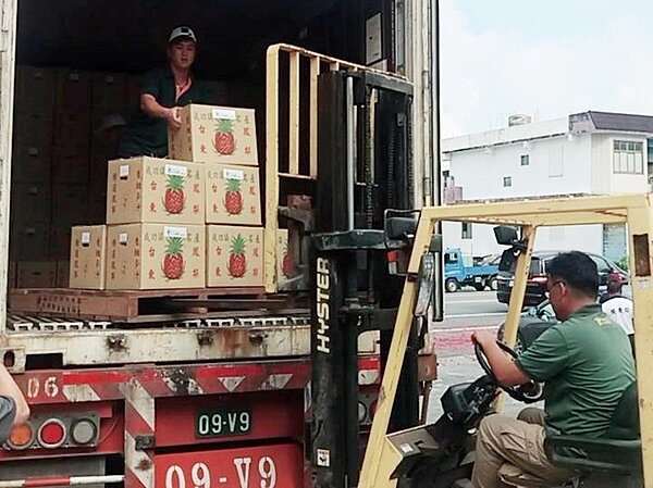 台東縣長黃健今年6月5日趁著前往大陸參加兩岸論壇機會,順道到大陸福建省賣鳳梨,台東鳳梨從6月30日開始出貨,至7月23日已賣出437.5公噸。記者羅紹平/翻攝