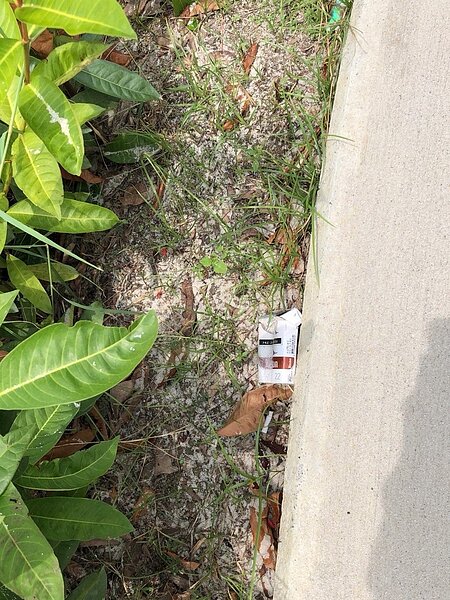 高雄馬卡道附近綠地公園維護不力，垃圾、煙蒂隨處可見，房價吃悶虧。