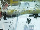 基隆市清查活體夾娃娃機竟有3家　勸導加課稅逼退