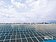 南市掩埋場　太陽能發電冠全台