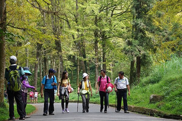 溪頭夏天氣溫涼爽,園區林相豐富,成為民眾避暑的最愛。 圖/聯合報系資料照片