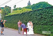 萬巒赤山綠牆　拍婚紗照夯點