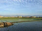 農業處長懸缺　宜縣府挨轟