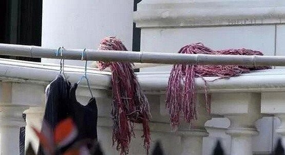 李連杰上海3億豪宅荒廢多年 保全拿來種菜、曬拖把(圖/摘自微博)