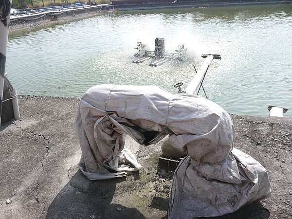 高市旗美地區有不少私人水井,除民生用水,也用於養殖。 圖/本報資料照片