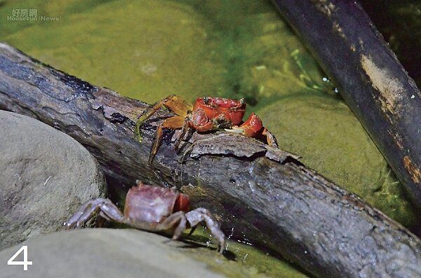 親子旅遊／墾丁新玩法　挑戰海灣獨木舟