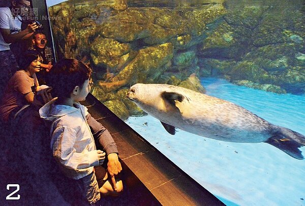 親子旅遊／墾丁新玩法　挑戰海灣獨木舟