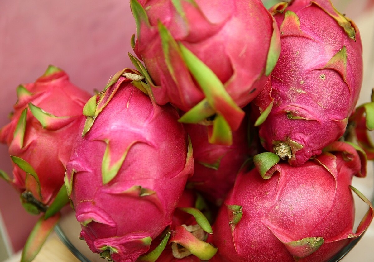 火龍果。記者曾學仁/攝影