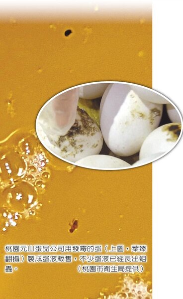 桃園元山蛋品公司用發霉的蛋（圓圖，葉臻翻攝）製成蛋液販售，不少蛋液已經長出蛆蟲。（桃園市衛生局提供）
