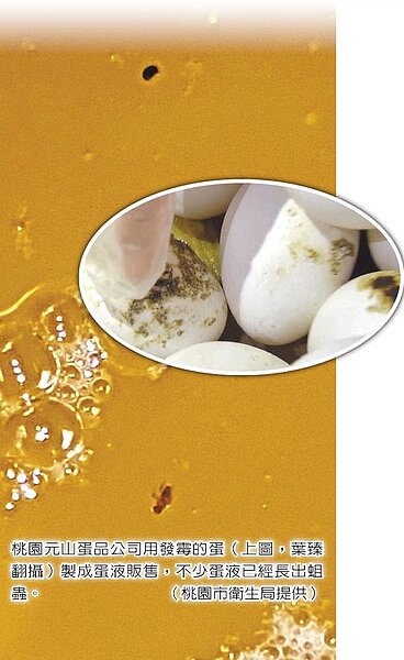 桃園元山蛋品公司用發霉的蛋（圓圖，葉臻翻攝）製成蛋液販售，不少蛋液已經長出蛆蟲。（桃園市衛生局提供）
