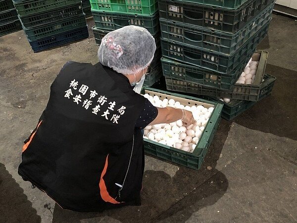 元山蛋品有限公司11日遭查獲將長蛆蛋品交工賣出,已有大量劣質蛋品流入桃竹苗3縣市的餐飲業及烘焙坊。圖/桃園衛生局提供
