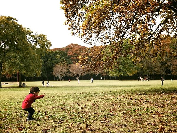 麻衣臉書2016年po出兒子在東京的照片 (佐藤麻衣臉書)