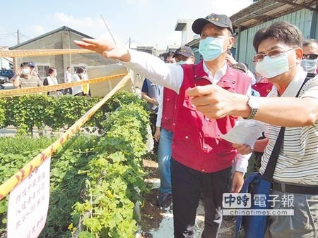 國內一口氣新增6例本土登革熱病例，禍首都指向菜園；圖為清潔人員清理台中菜園帶有孑孓的陽性容器。（圖：疾管署提供）