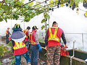 大里3菜友確診登革熱　農場封1個月