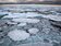 全球暖化加劇　北極「最後一塊冰層」破了！