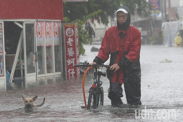 豪雨成災，嘉義縣東石市區昨水深及膝。記者黃仲裕／攝影 