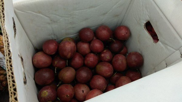 北市長安水果行販售來自南投埔里的百香果檢出5種農藥不符規定。圖／台北市衛生局提供