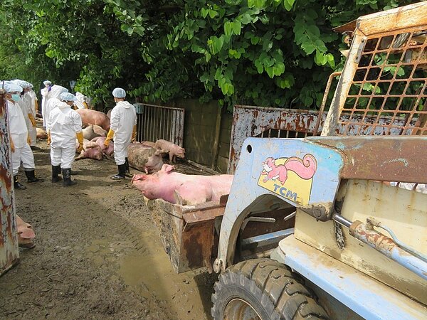 嘉義縣災情慘重。記者魯永明/攝影