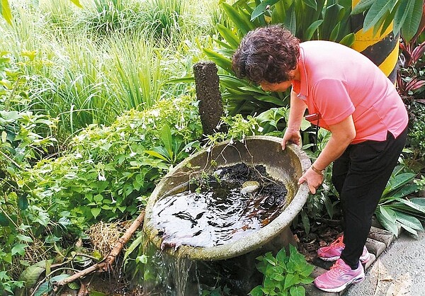 台中市民昨天配合市府推動「滅蚊大作戰」，清除住家周邊積水容器孳生源。 圖／台中市政府提供