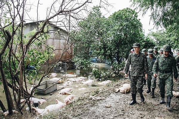 參謀總長李喜明前往嘉義縣聯信畜牧場勘災，滿地是溺斃的死豬。圖／軍聞社