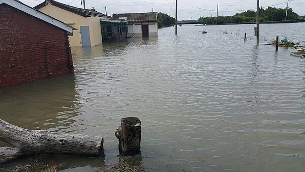 八二三風災帶來豪大雨至今,雲林縣水林鄉適逢漲潮、地勢較低,仍有積水未退,水林鄉塭底村新塭地區昨天仍有十多戶泡在水中。 記者邱奕能/攝影