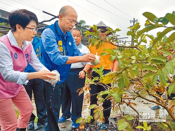 國民黨高市長參選人韓國瑜26日到高雄市大社區芭樂園視察災損的芭樂。（圖／中國時報記者林雅惠攝）