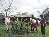種生涯紀念樹　「甜蜜夫妻樹」打頭陣