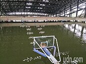影／籃球場變游泳池　麻豆真理大學體育館全泡水