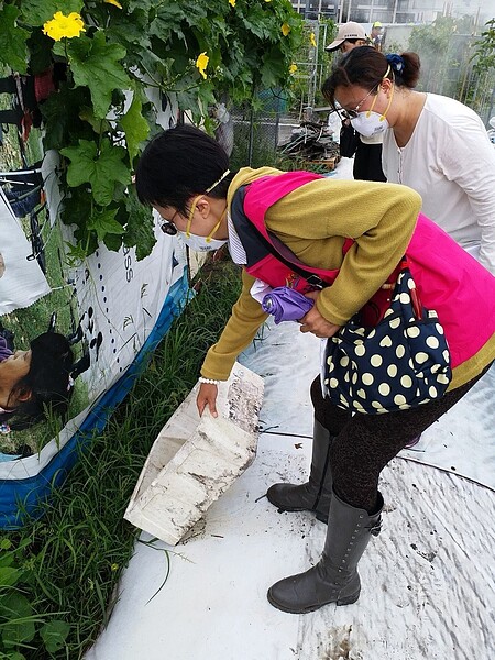 衛福部疾管署表示,台中市整體疫情持續超過一週,為避免大雨導致疫情嚴重爆發,未來三日將針對開心農場與周圍六里,地毯式清除孳生源,並每日動員50、60組人力噴藥滅蚊。(圖/台中市衛生局提供)